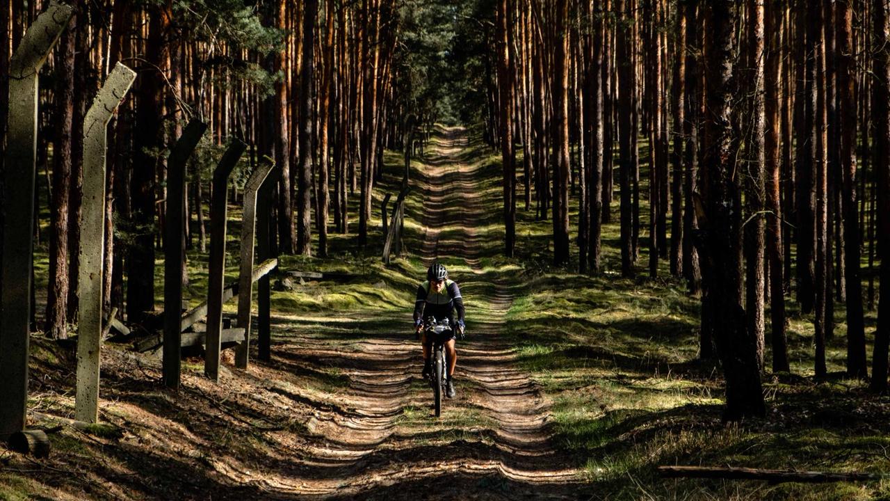 Ein Radfahrer auf einem Waldweg