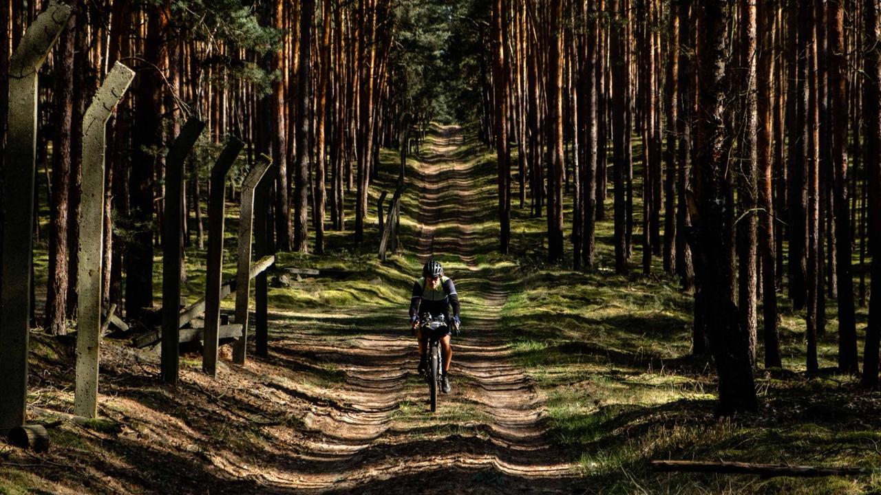 Ein Radfahrer auf einem Waldweg Ein Radfahrer auf einem Waldweg