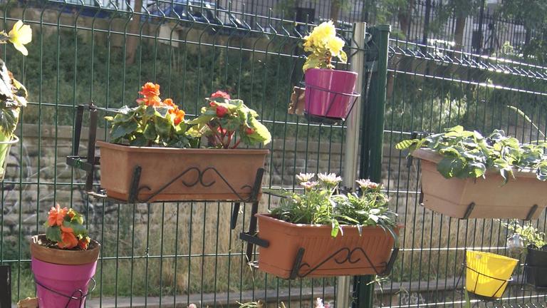 Blumenkästen hängen an einem Metallzaun in Paris Blumenkästen hängen an einem Metallzaun in Paris