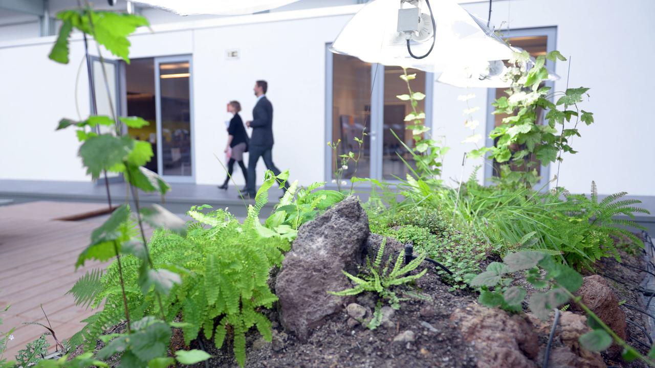 Durch den sogenannten Garten der Diaspora gehen am 01.07.2013 in der neu eröffneten Akademie des Jüdischen Museums in Berlin zwei Personen. In dem von Daniel Libeskind gestalteten Bau sind die Bildungsangebote und die Bibliothek untergebracht. Durch den sogenannten Garten der Diaspora gehen am 01.07.2013 in der neu eröffneten Akademie des Jüdischen Museums in Berlin zwei Personen. In dem von Daniel Libeskind gestalteten Bau sind die Bildungsangebote und die Bibliothek untergebracht.