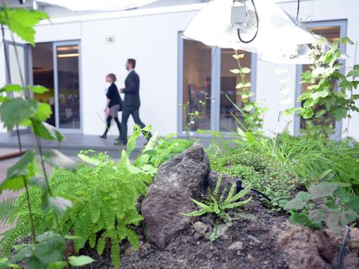 Durch den sogenannten Garten der Diaspora gehen am 01.07.2013 in der neu eröffneten Akademie des Jüdischen Museums in Berlin zwei Personen. In dem von Daniel Libeskind gestalteten Bau sind die Bildungsangebote und die Bibliothek untergebracht.