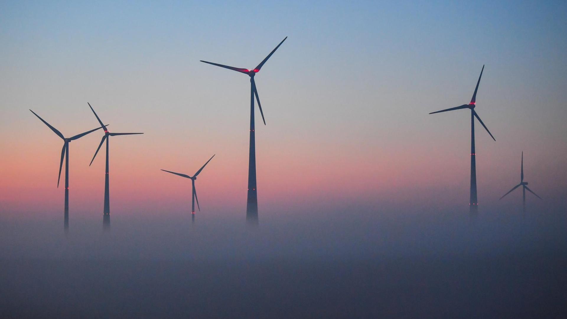 Vor dem farbenprächtigen Morgenhimmel ragen Windenergieanlagen aus dem Nebel. Vor dem farbenprächtigen Morgenhimmel ragen Windenergieanlagen aus dem Nebel.
