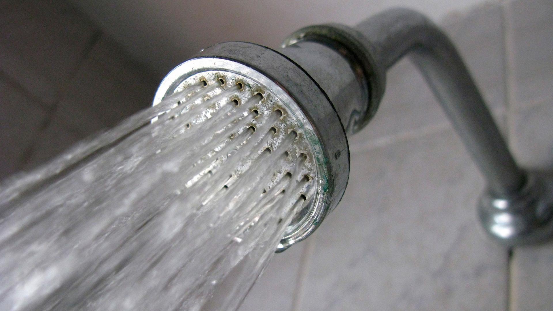 Wasser läuft aus einem Duschkopf Wasser läuft aus einem Duschkopf
