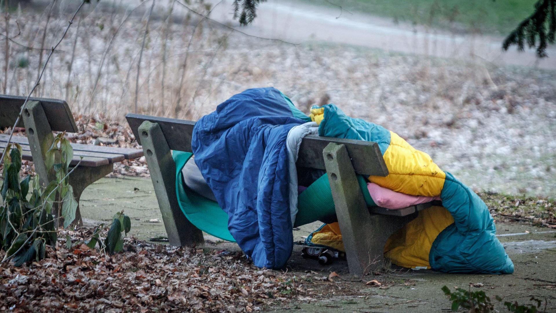 Hamburg: Bei Minustemperaturen hat ein Obdachloser auf einer Parbank im Alten Elbpark übernachtet. Hamburg: Bei Minustemperaturen hat ein Obdachloser auf einer Parbank im Alten Elbpark übernachtet.