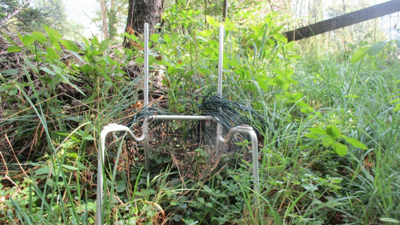 Der letzte verbliebene Stuhl aus dem großen Studio. Die heutigen Besitzer des Hauses haben ihn im Garten gefunden und dort auch gelassen. Der letzte verbliebene Stuhl aus dem großen Studio. Die heutigen Besitzer des Hauses haben ihn im Garten gefunden und dort auch gelassen.