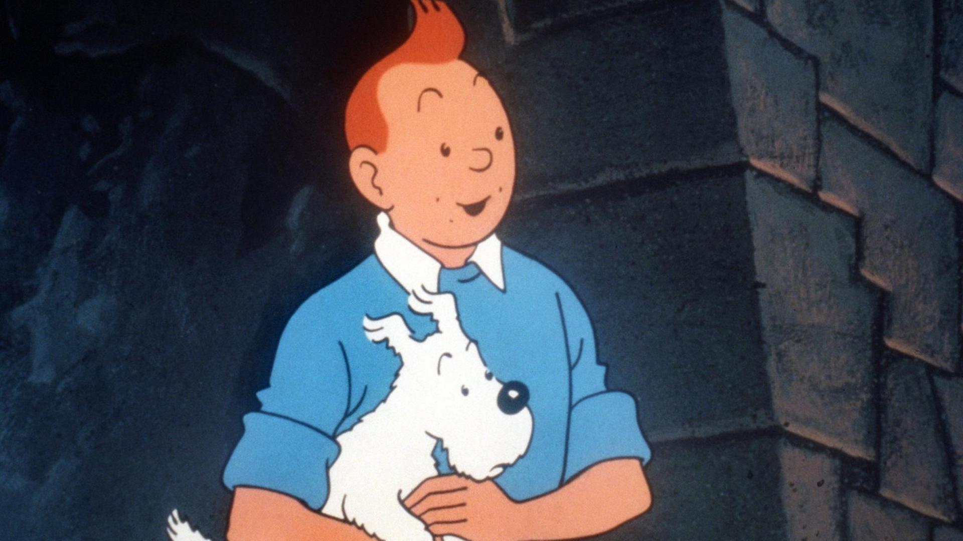 Tim hat Struppi auf dem Arm, im Hintergrund Mauerwerk. Tim hat Struppi auf dem Arm, im Hintergrund Mauerwerk.