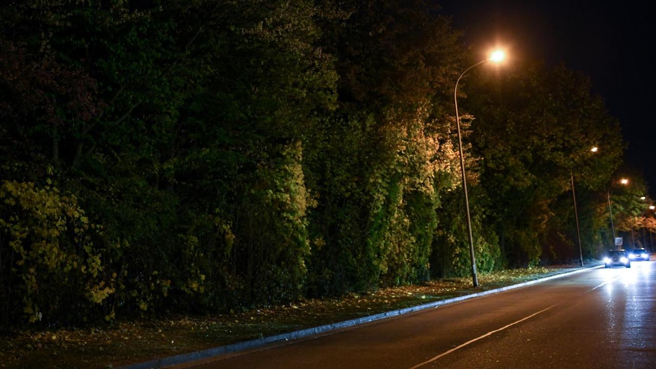 Freiburg: Eine Straße und die angrenzende Grünanlage im Industriegebiet Nord hinter einem Diskothekenareal wird nachts von Straßenlaternen erleuchtet. Freiburg: Eine Straße und die angrenzende Grünanlage im Industriegebiet Nord hinter einem Diskothekenareal wird nachts von Straßenlaternen erleuchtet.