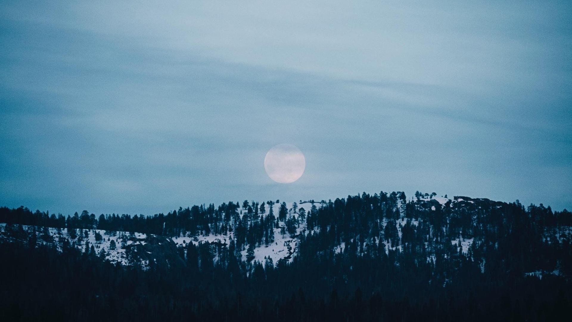 Landschaftsaufnahme: Vollmond über einem schneebedeckten Nadelwaldhang Landschaftsaufnahme: Vollmond über einem schneebedeckten Nadelwaldhang