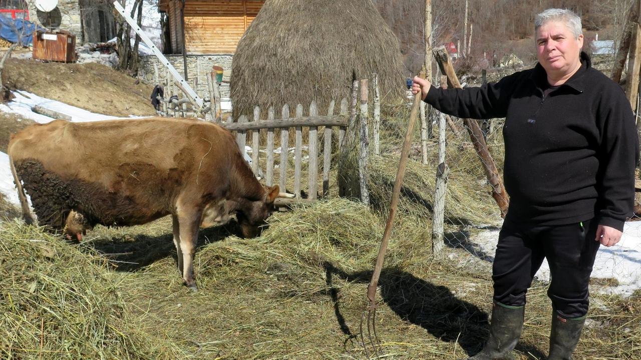 Eine der letzten "Schwurjungfrauen" Albaniens, Duni Grishaj, neben ihr eine Kuh Eine der letzten "Schwurjungfrauen" Albaniens, Duni Grishaj, neben ihr eine Kuh
