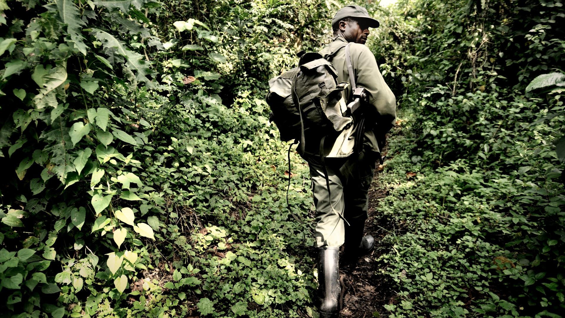 Ein bewaffneter Ranger im Virunga-Nationalpark in der Republik Kongo Ein bewaffneter Ranger im Virunga-Nationalpark in der Republik Kongo