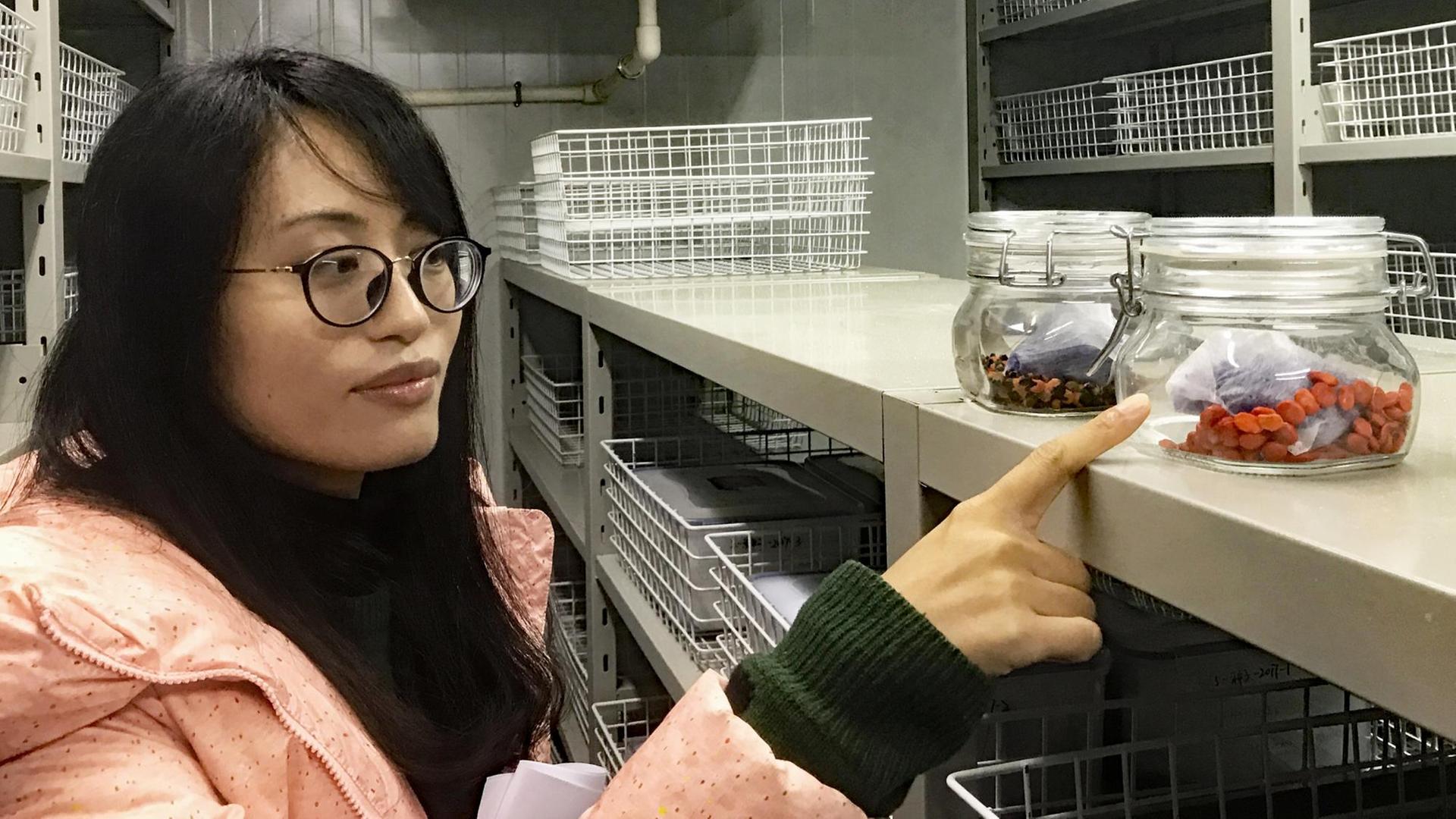 Chen Chuan steht in einem Kühlraum und deutet mit dem Finger auf zwei Gläser, in denen bunte Pflanzensamen eingelagert sind. Chen Chuan steht in einem Kühlraum und deutet mit dem Finger auf zwei Gläser, in denen bunte Pflanzensamen eingelagert sind.