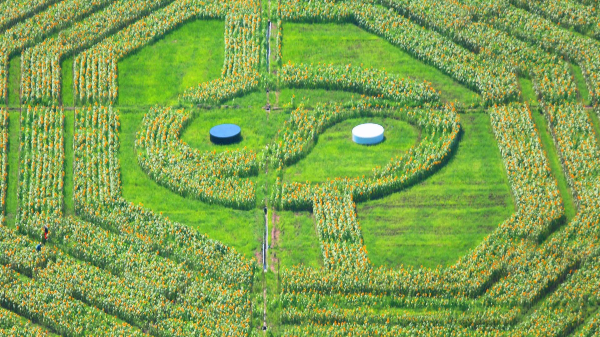 Das Yin-Yang-Symbol in einer chinesischen Landschaft Das Yin-Yang-Symbol in einer chinesischen Landschaft