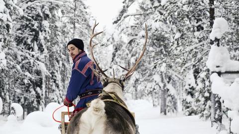 Ein samischer Rentierzüchter steuert einen hölzernen Rentierschlitten durch den Wald.