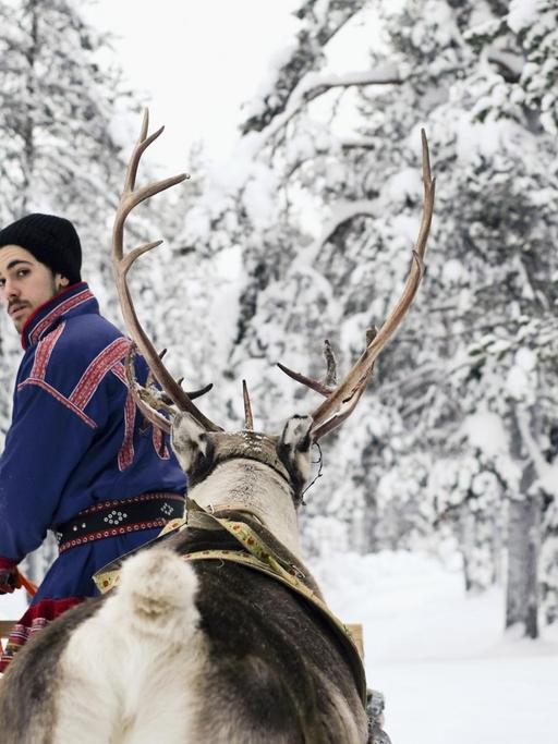 Ein samischer Rentierzüchter steuert einen hölzernen Rentierschlitten durch den Wald.