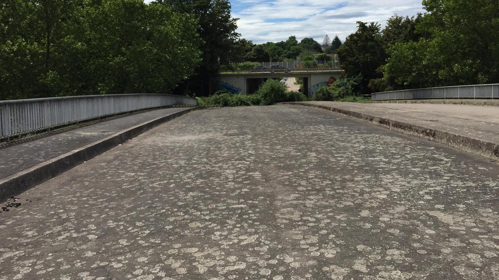Die "Geisterbrücke" am Rand von Saarbrücken sollte eigentlich in ein Industriegebiet führen - das aber nie gebaut wurde. Die "Geisterbrücke" am Rand von Saarbrücken sollte eigentlich in ein Industriegebiet führen - das aber nie gebaut wurde.