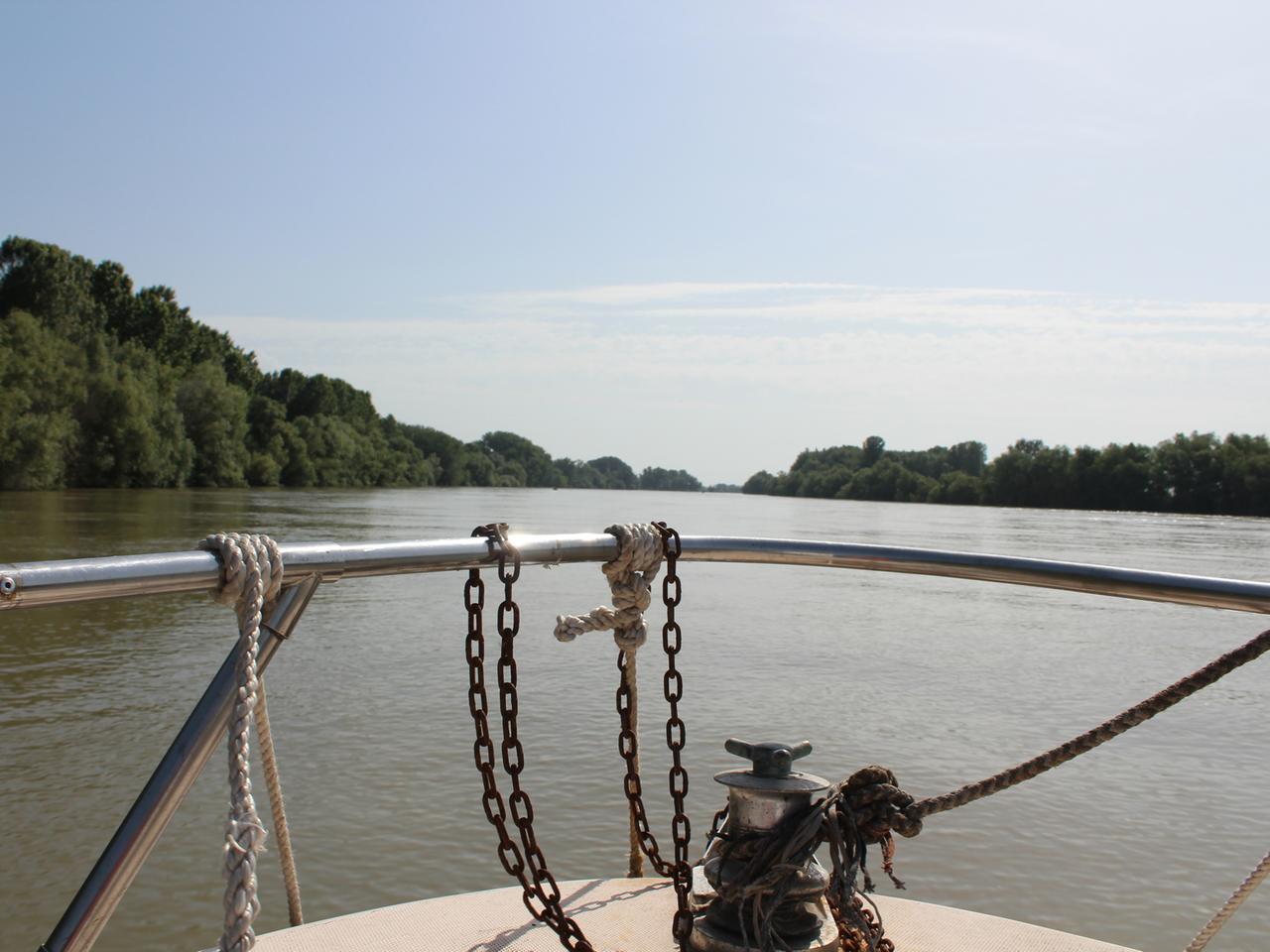 Sulina-Arm im Donaudelta vom Schiff aus. Sulina-Arm im Donaudelta vom Schiff aus.