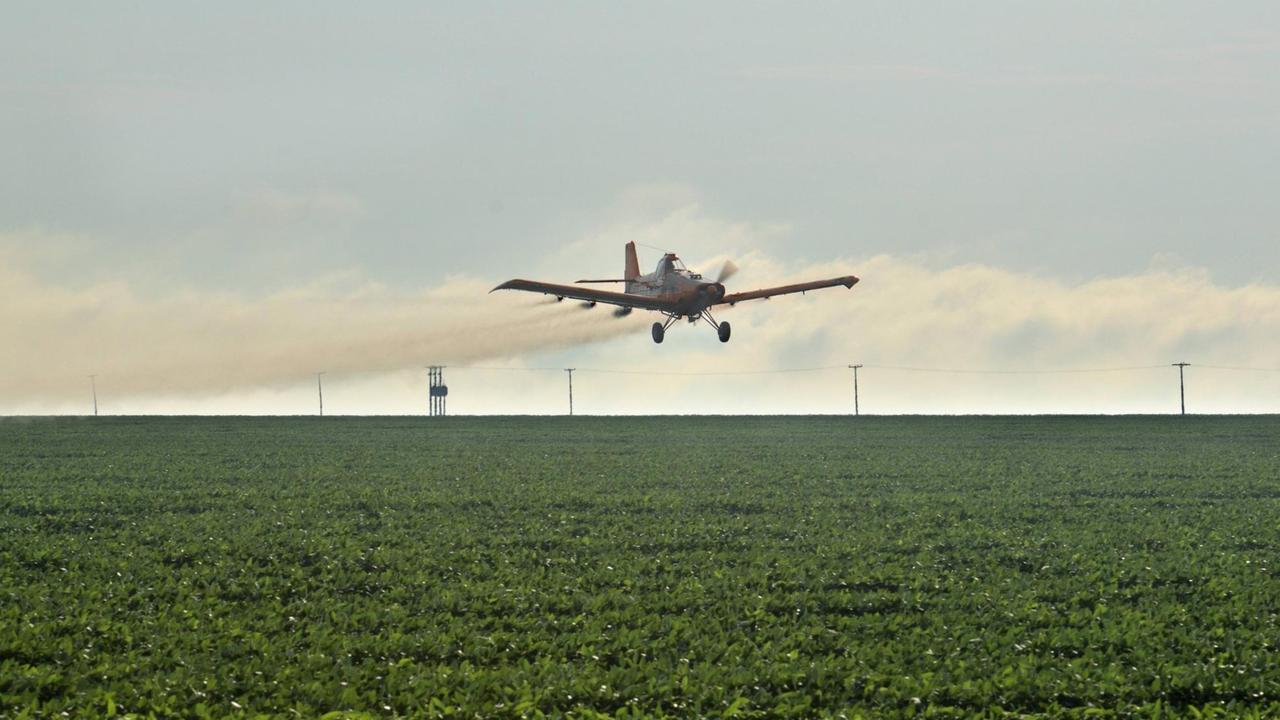 Spritzen von Pflanzenschutzmitteln ist beim Anbau von Soja Hauptursache für die fortschreitende Zerstörung des Amazonas-Regenwalde.