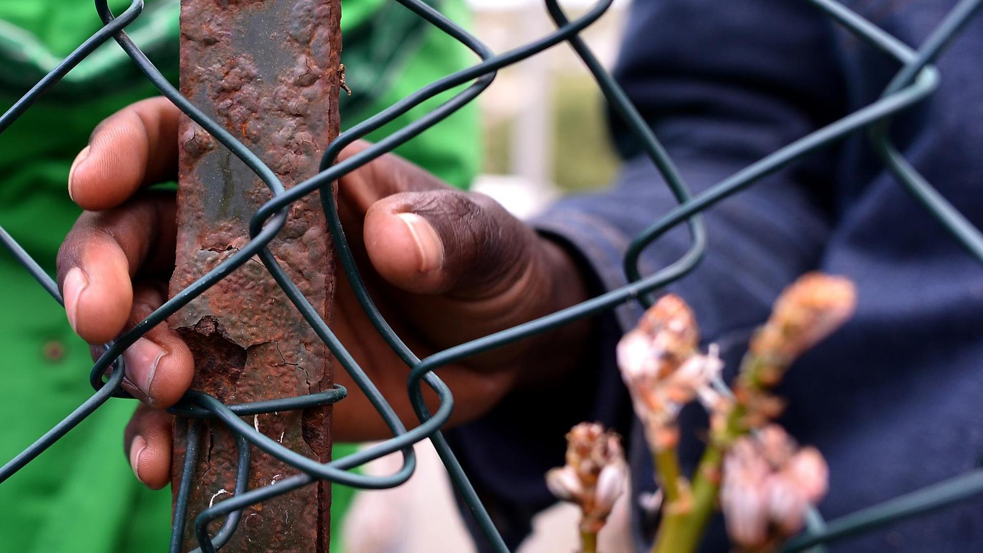 Ein Flüchtling hinter einem Zaum im "Temporary Permanence Centre" (CPT), einem Auffanglager für Flüchtlinge auf Lampedusa Ein Flüchtling hinter einem Zaum im "Temporary Permanence Centre" (CPT), einem Auffanglager für Flüchtlinge auf Lampedusa