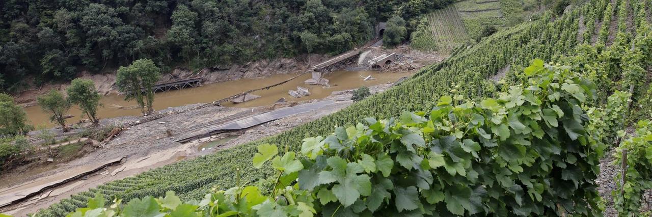 Ein Weinberg bei Rech an der vom Hochwasser zerstörten Bahnstrecke. Ein Weinberg bei Rech an der vom Hochwasser zerstörten Bahnstrecke.