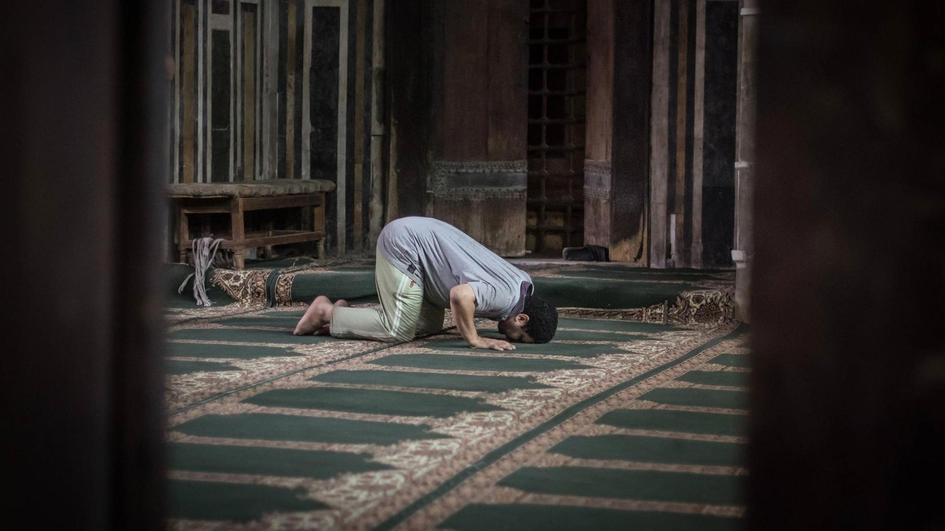 Ein Shiit betet in einer Moschee. Ein Shiit betet in einer Moschee.