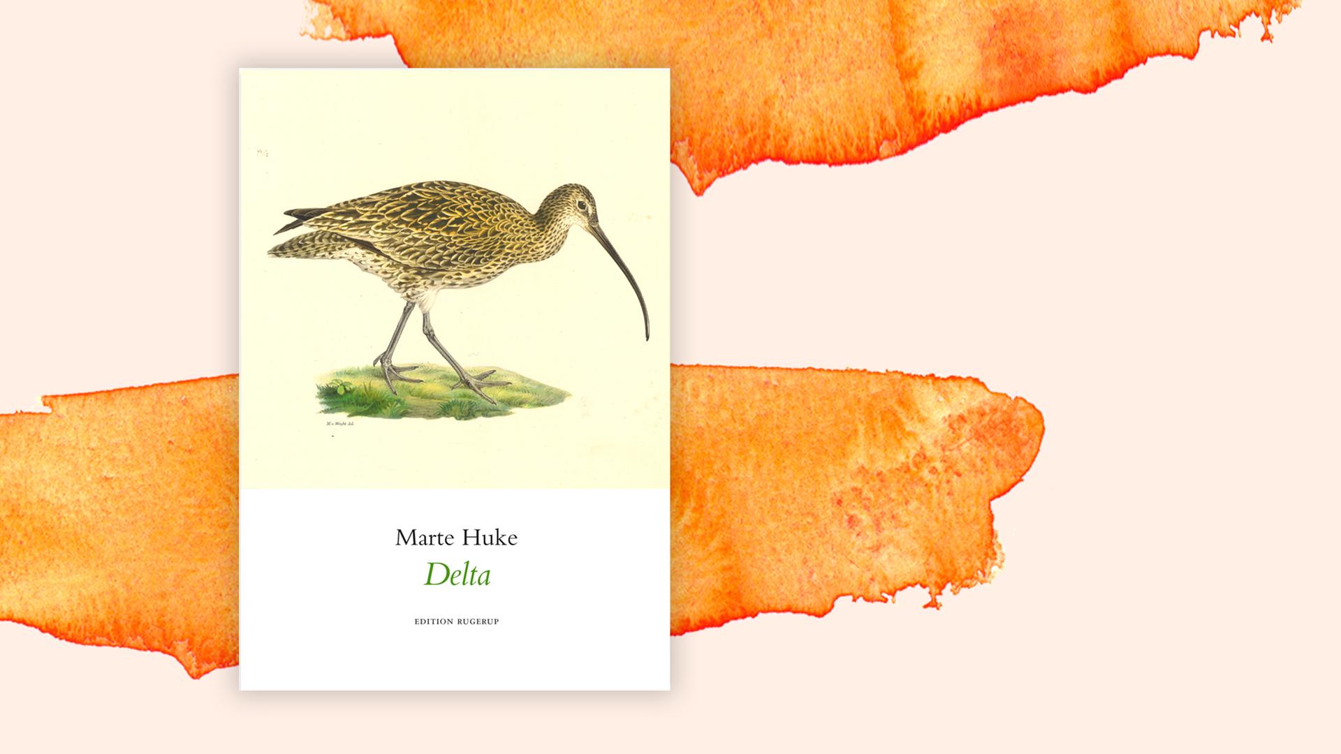 Das Cover zu Marte Hukes "Delta" vor einem orangenen Hintergrund Das Cover zu Marte Hukes "Delta" vor einem orangenen Hintergrund