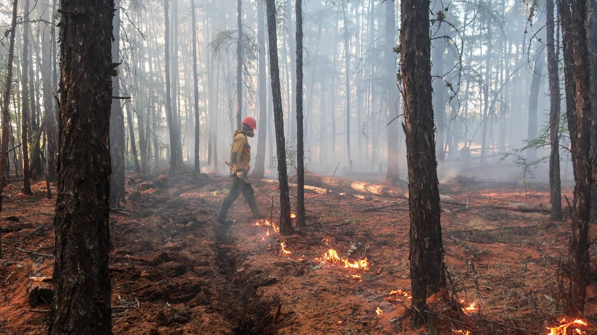 Ein Wald-Brand in der russischen Region Jakutien. Ein Wald-Brand in der russischen Region Jakutien.