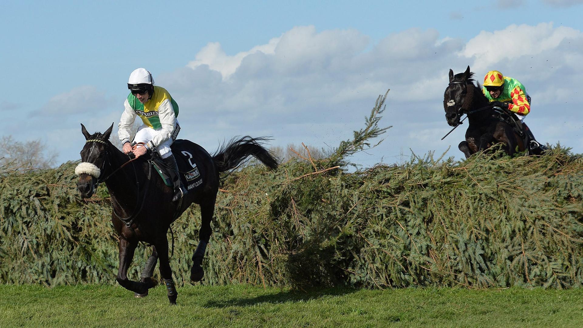 Der "Crabbies 2015 Grand National" in Liverpool Der "Crabbies 2015 Grand National" in Liverpool