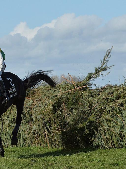 Der "Crabbies 2015 Grand National" in Liverpool