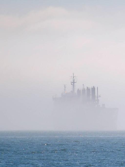 Ermittlungen auf hoher See: Privatdetektiv Livingston reist inkognito auf der "Oceania".