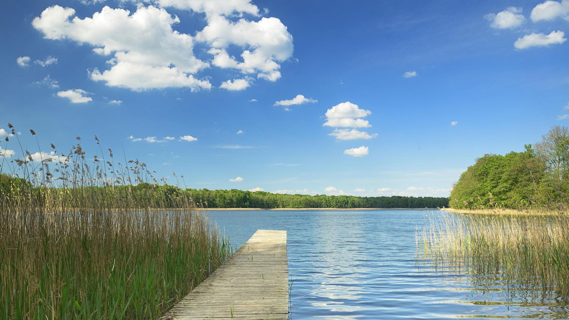 Ein Holzsteg an einem klaren See führt vorbei am Schilf. Zu sehen ist der große Krinertsee im Biosphärenreservat Schorfheide-Chorin in Brandenburg. Ein Holzsteg an einem klaren See führt vorbei am Schilf. Zu sehen ist der große Krinertsee im Biosphärenreservat Schorfheide-Chorin in Brandenburg.