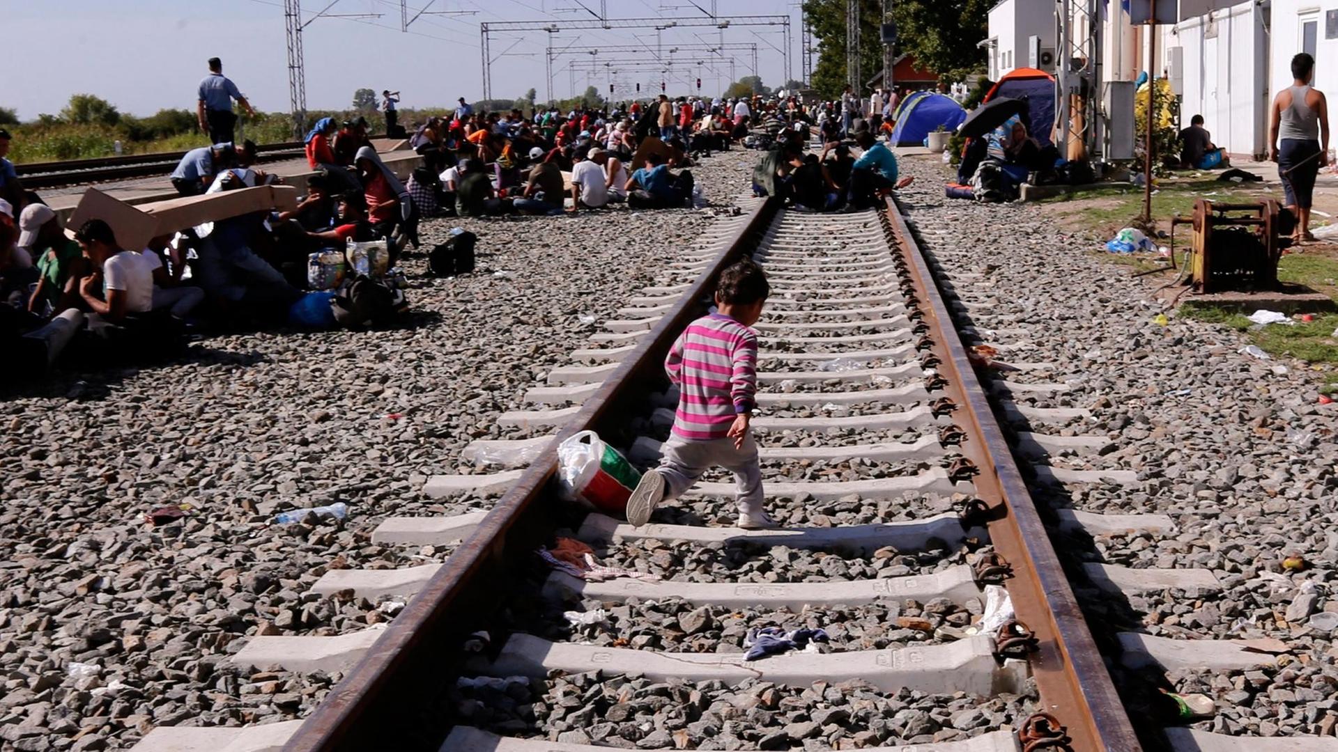 Flüchtlinge warten in Kroatien hinter der Grenze zu Serbien. Flüchtlinge warten in Kroatien hinter der Grenze zu Serbien.