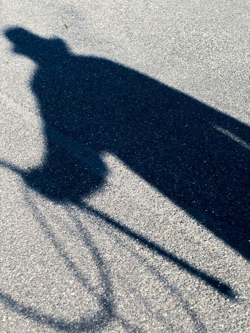 Der Schatten eines Peitschenmachers ist am 06.02.2015 auf dem Asphalt in Isenbüttel (Niedersachsen) zu sehen.