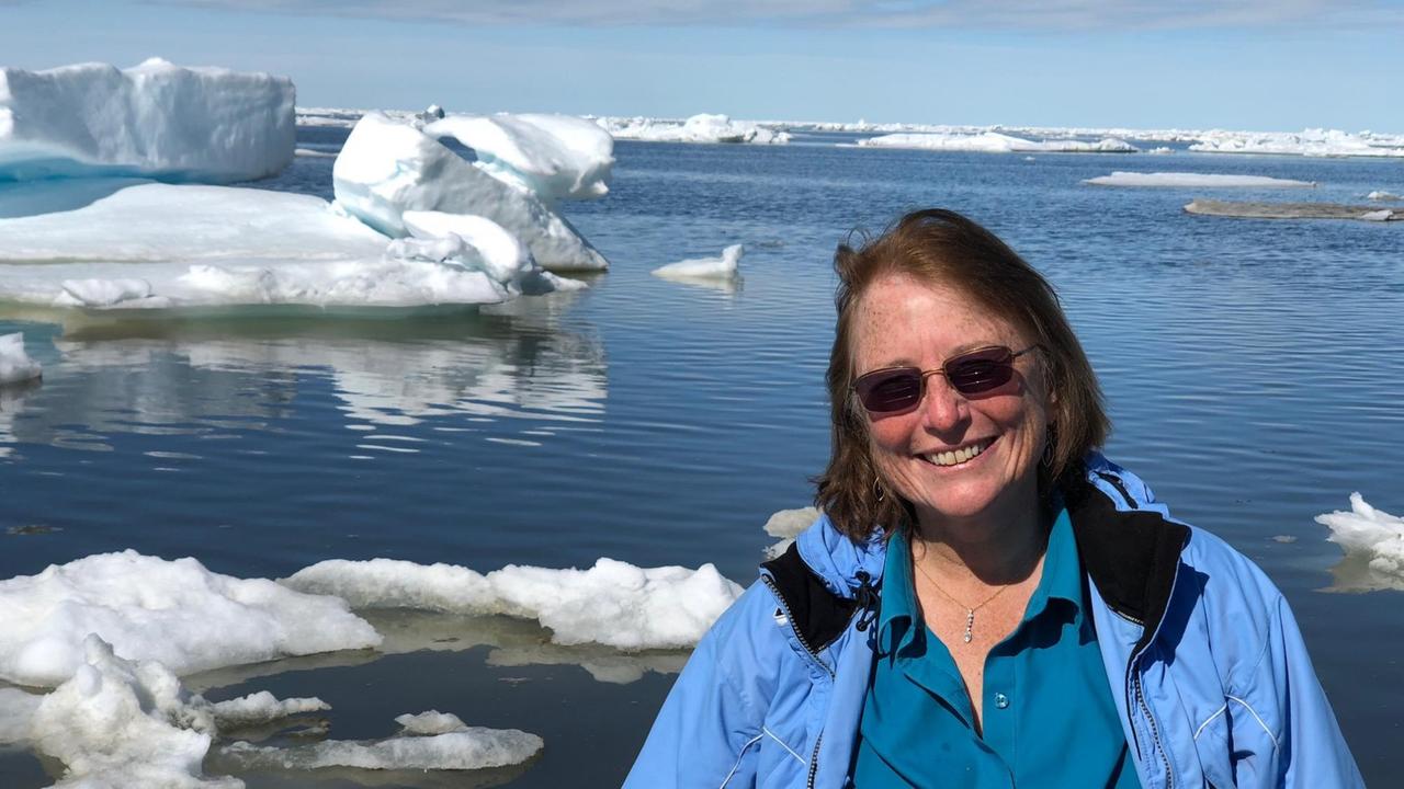 US-Chemie-Ingenieurin Leslie Field in Eisbergen in der Arktis bei Tests für ihr "Arctic ICE Project", das die Reflektion der Sonnenenergie erhöhen soll. US-Chemie-Ingenieurin Leslie Field in Eisbergen in der Arktis bei Tests für ihr "Arctic ICE Project", das die Reflektion der Sonnenenergie erhöhen soll.