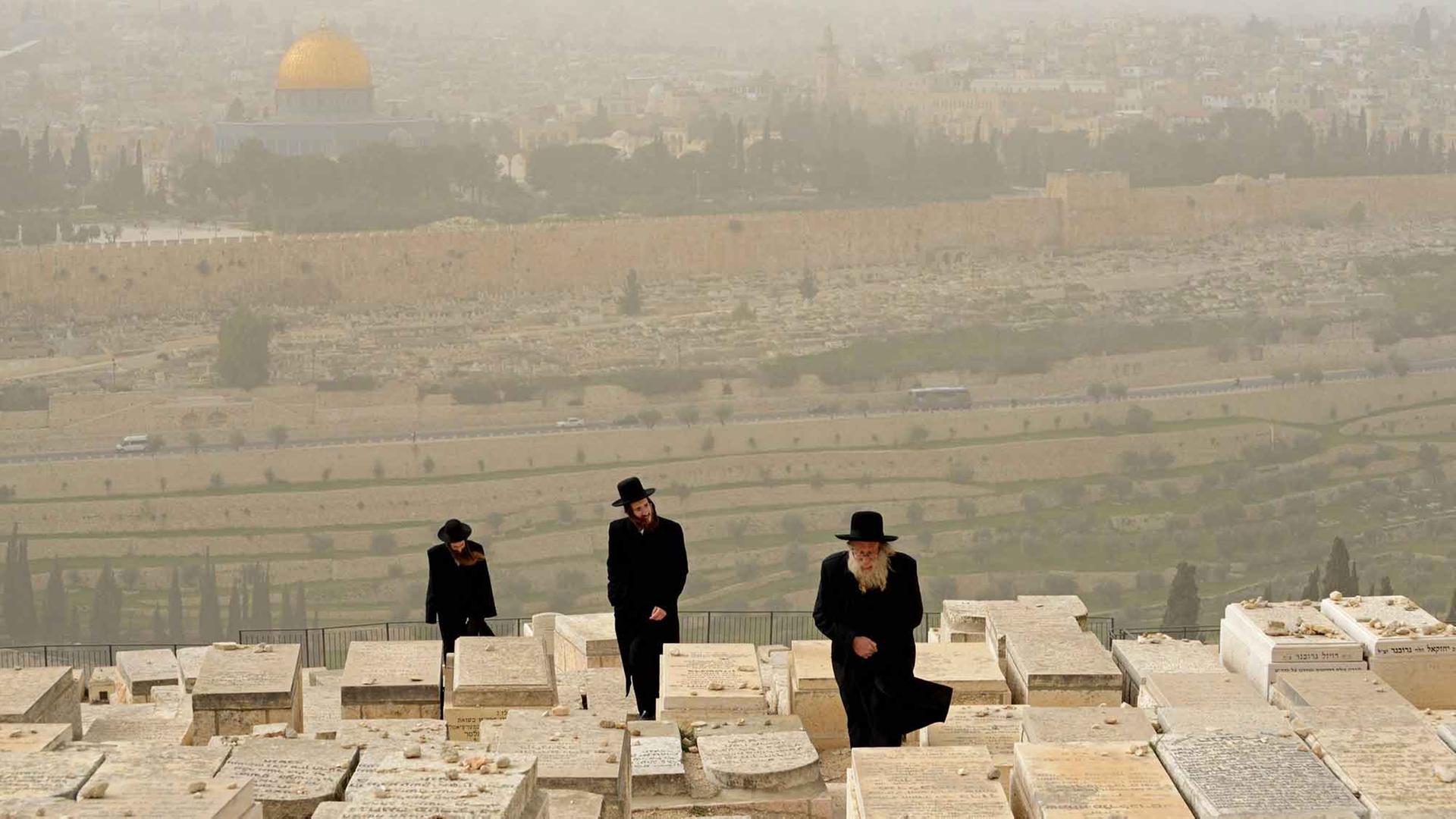 Ultra-orthodoxe Juden auf einem Friedhof auf dem Ölberg in Jerusalem, im Hintergrund der Felsendom. Ultra-orthodoxe Juden auf einem Friedhof auf dem Ölberg in Jerusalem, im Hintergrund der Felsendom.