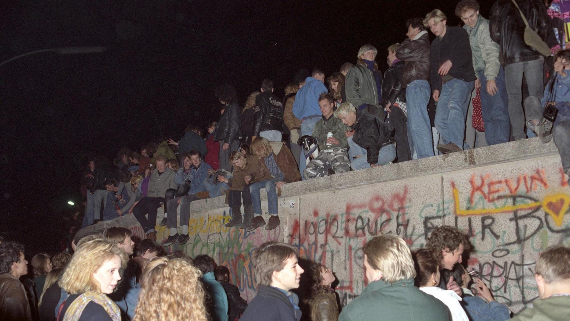Einen Tag nach der Grenzöffnung in Berlin feiern tausende Menschen auf, vor und hinter der Berliner Mauer am Brandenburger Tor, aufgenommen am 10. November 1989 auf West-Berliner Seite. Die innerdeutsche Grenze, die das Land seit 1961 geteilt hat, hört praktisch auf zu existieren. Es wird allerdings noch mehrere Wochen dauern, bis auch am Brandenburger Tor, dem Berliner Wahrzeichen, die Mauer für einen Grenzübergang geöffnet wird. | Verwendung weltweit Einen Tag nach der Grenzöffnung in Berlin feiern tausende Menschen auf, vor und hinter der Berliner Mauer am Brandenburger Tor, aufgenommen am 10. November 1989 auf West-Berliner Seite. Die innerdeutsche Grenze, die das Land seit 1961 geteilt hat, hört praktisch auf zu existieren. Es wird allerdings noch mehrere Wochen dauern, bis auch am Brandenburger Tor, dem Berliner Wahrzeichen, die Mauer für einen Grenzübergang geöffnet wird. | Verwendung weltweit