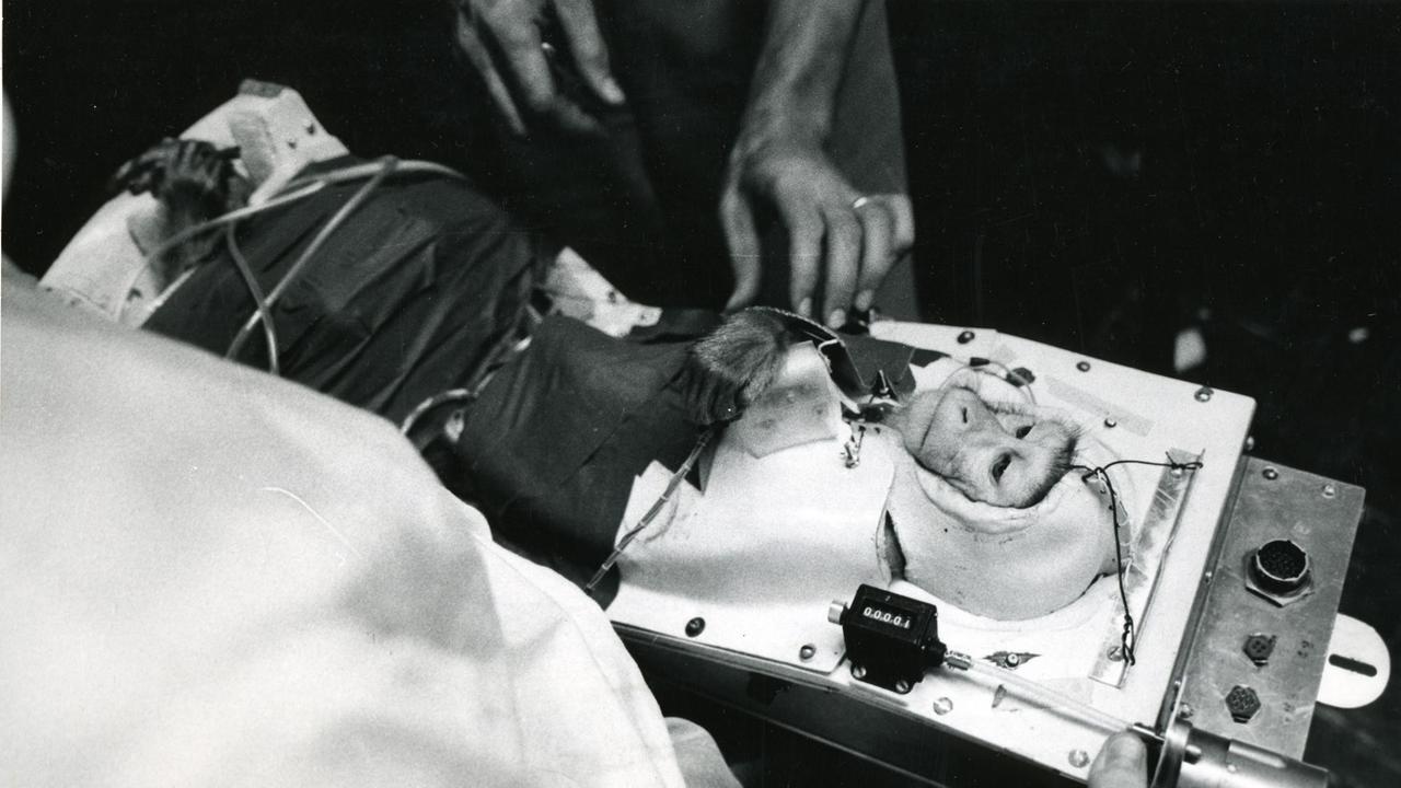 Der Rhesusaffe Able wird für den Flug ins All in der Kapsel einer Jupiter AM-18 Rakete vorbereitet (Aufnahme aus dem Jahr 1959) Der Rhesusaffe Able wird für den Flug ins All in der Kapsel einer Jupiter AM-18 Rakete vorbereitet (Aufnahme aus dem Jahr 1959)