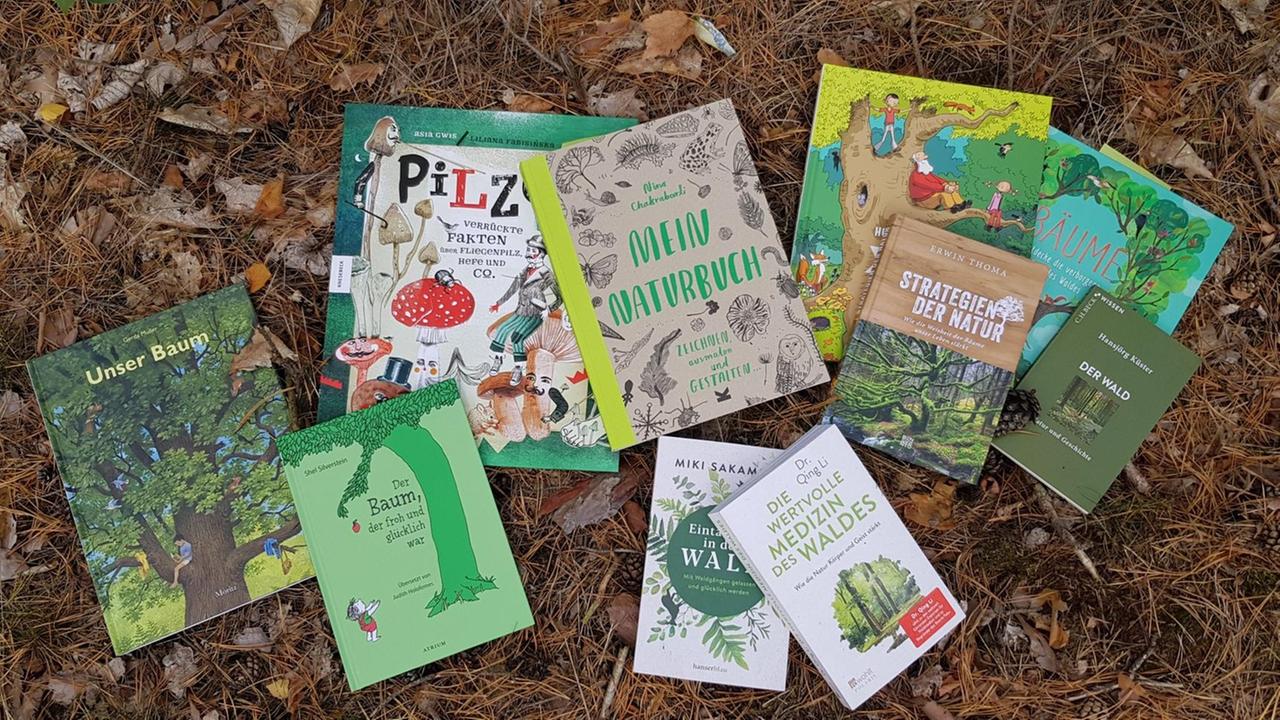 Eine kleine Auswahl verschiedenster Bücher zum Thema Wald liegt im Laub. Eine kleine Auswahl verschiedenster Bücher zum Thema Wald liegt im Laub.