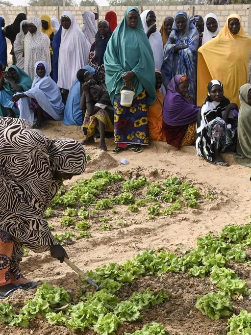 Frauen in Niger bearbeiten ein Gemüsebeet, im Hintergrund sehen weitere Frauen zu.