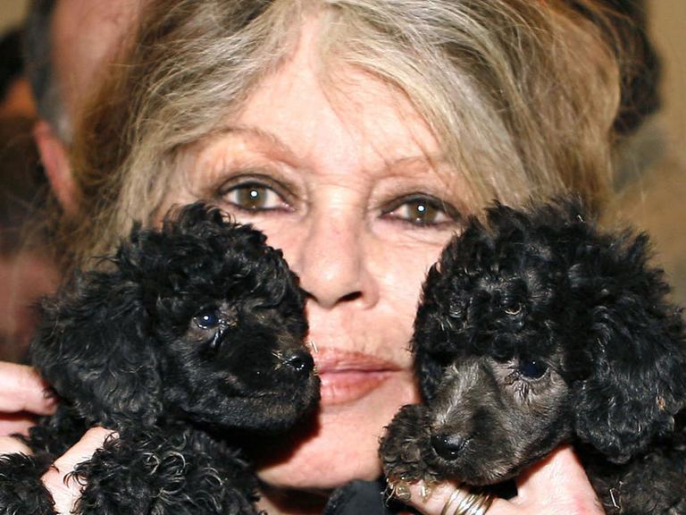 Die Schauspielerin und Tierschützerin Brigitte Bardot mit zwei Hunden beim Besuch eines Tierschutzzentrums in Nizza 2005