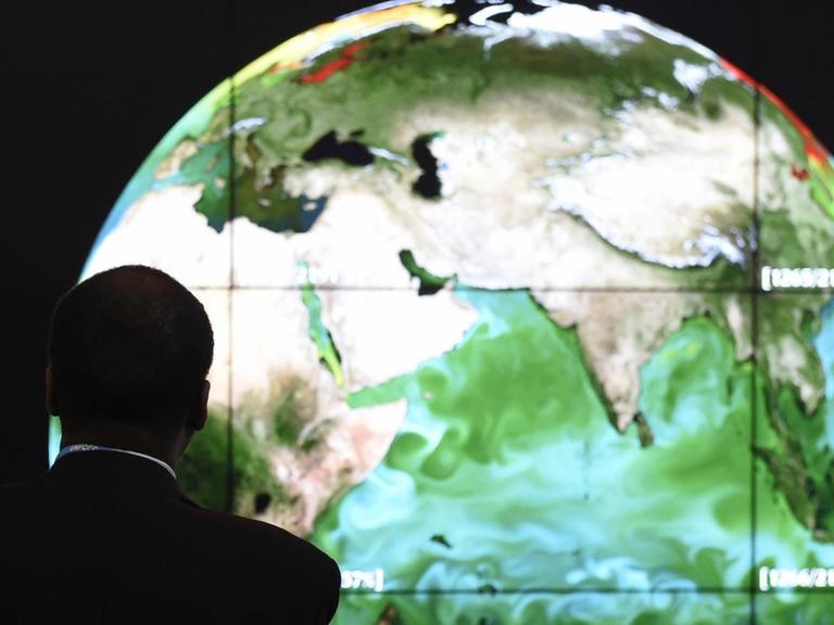Ein Teilnehmer des Weltklimagipfels steht vor einer großen Weltkugel