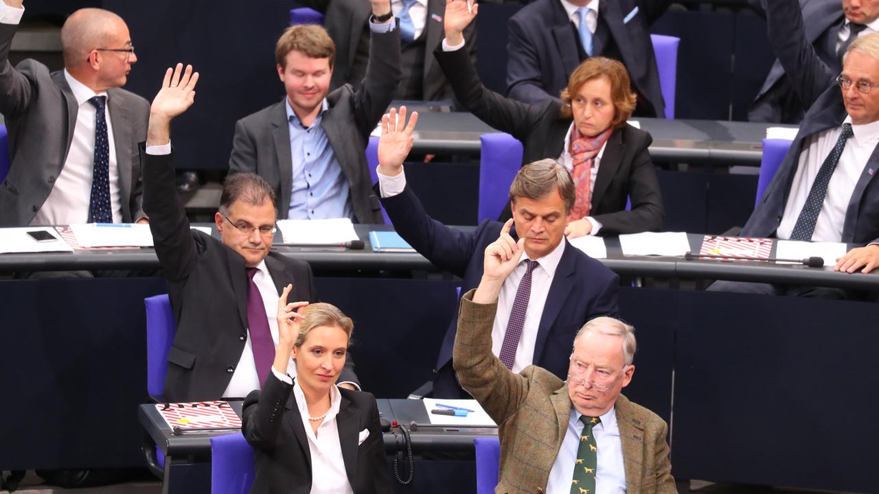 Abgeordnete der AfD-Fraktion mit ihren Vorsitzenden Alice Weidel und Alexander Gauland bei einer Abstimmung im Bundestag Abgeordnete der AfD-Fraktion mit ihren Vorsitzenden Alice Weidel und Alexander Gauland bei einer Abstimmung im Bundestag