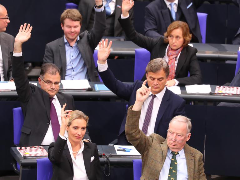 Abgeordnete der AfD-Fraktion mit ihren Vorsitzenden Alice Weidel und Alexander Gauland bei einer Abstimmung im Bundestag