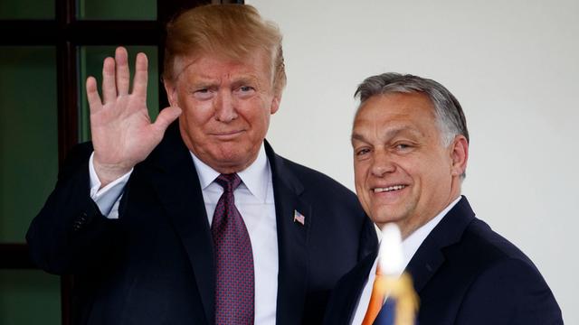 US-Präsident Donald Trump schaut zusammen mit Ungarns Ministerpräsident Viktor Orban in den Kamera während eines Besuches Orbans in Washington