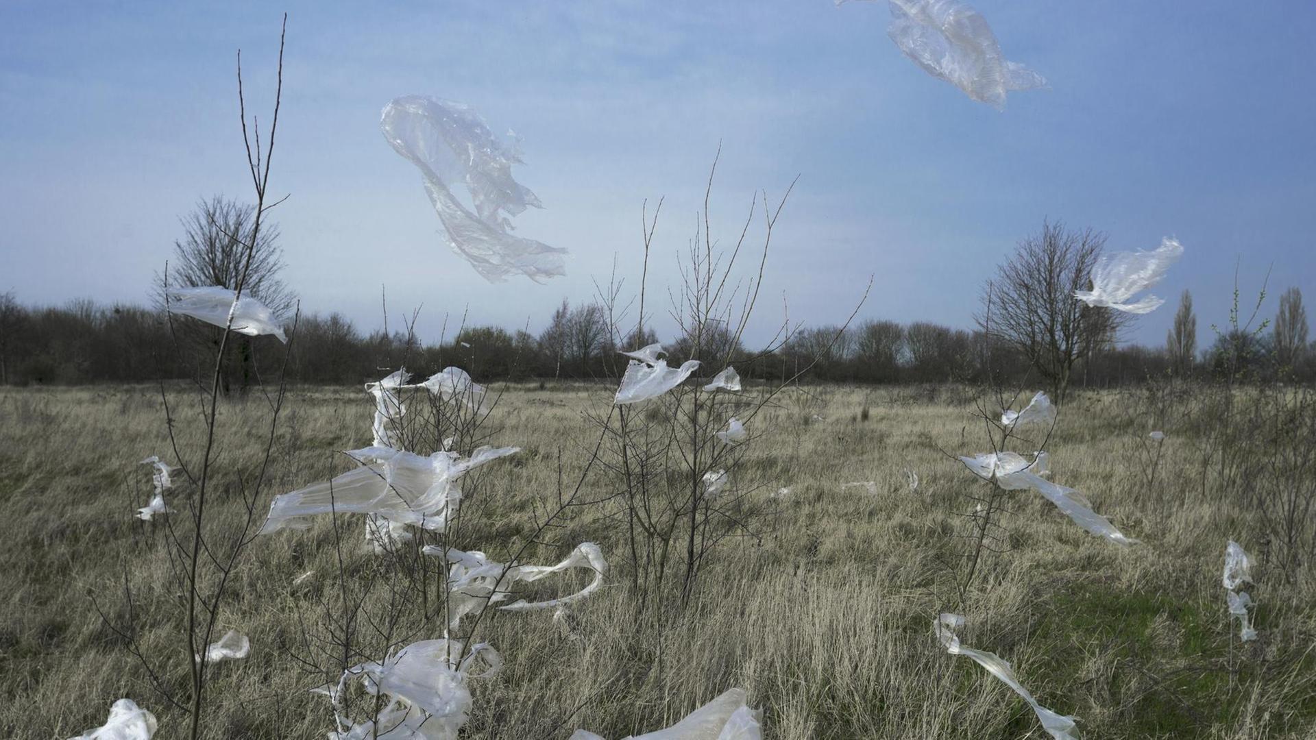 Umherfliegende Plastiktüten in der Landschaft Umherfliegende Plastiktüten in der Landschaft