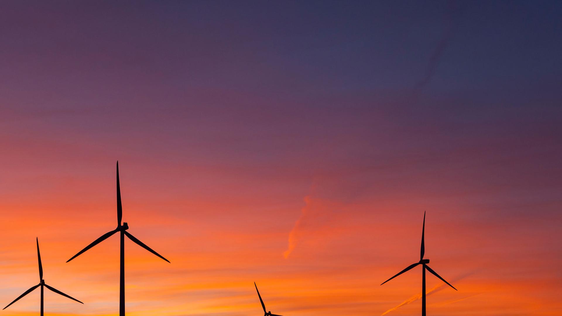 Windräder stehen auf einem Feld bei Wormlage in der brandenburgischen Lausitz vor dem vom Sonnenuntergang rot gefärbten Abendhimmel. Windräder stehen auf einem Feld bei Wormlage in der brandenburgischen Lausitz vor dem vom Sonnenuntergang rot gefärbten Abendhimmel.