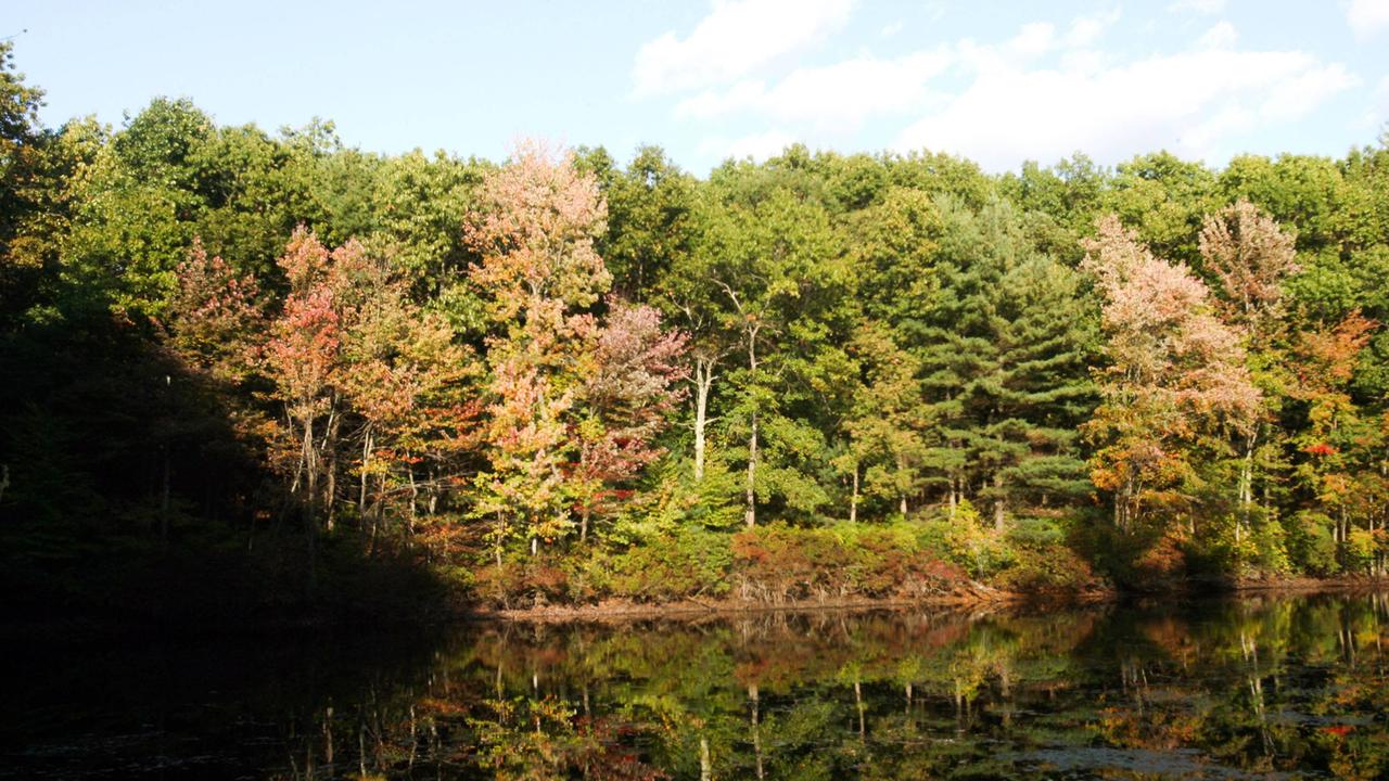 Der legendäre Walden Pond in Concord, Massachusetts, der den berühmten Schriftsteller Henry David Thoreau inspiriert hat