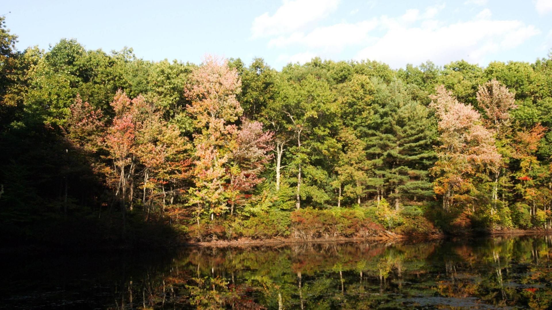Der legendäre Walden Pond in Concord, Massachusetts, der den berühmten Schriftsteller Henry David Thoreau inspiriert hat Der legendäre Walden Pond in Concord, Massachusetts, der den berühmten Schriftsteller Henry David Thoreau inspiriert hat