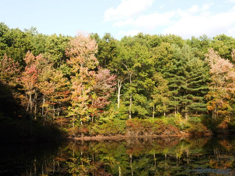 Der legendäre Walden Pond in Concord, Massachusetts, der den berühmten Schriftsteller Henry David Thoreau inspiriert hat