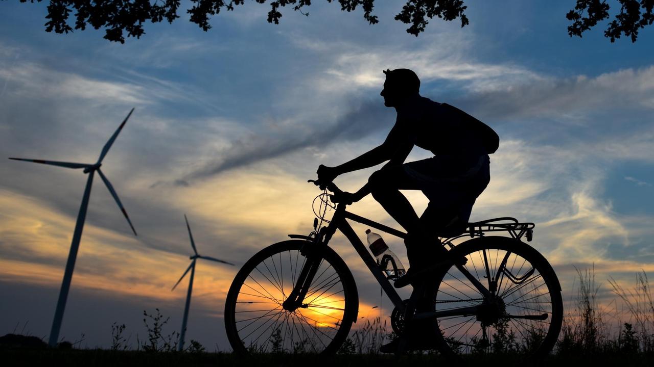 In der Dämmerung fährt ein Fahrradfahrer auf einem Radweg nahe Sieversdorf in Brandenburg, im Hintergrund sind Windräder zu sehen. In der Dämmerung fährt ein Fahrradfahrer auf einem Radweg nahe Sieversdorf in Brandenburg, im Hintergrund sind Windräder zu sehen.