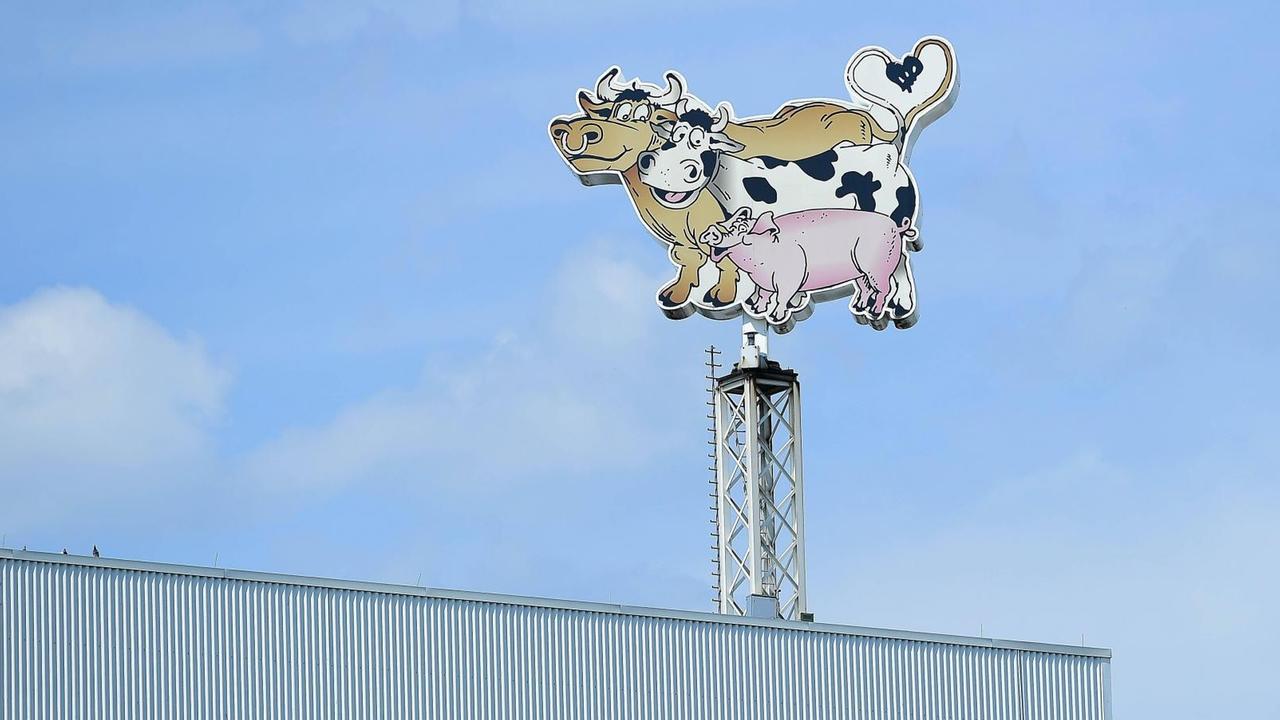 Auf dem Dach des Fleischverarbeiters Tönnies sind an einem Mast ein Bulle, eine Kuh und ein Schwein, deren Schwänze ein Herz bilden, als Werbefiguren abgebildet. Auf dem Dach des Fleischverarbeiters Tönnies sind an einem Mast ein Bulle, eine Kuh und ein Schwein, deren Schwänze ein Herz bilden, als Werbefiguren abgebildet.